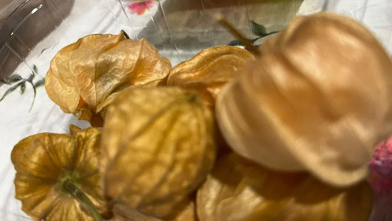 Altın çilek pazarında: Kilosu 450 TL'ye dayandı, ananas tadıyla raflarda yer edindi Altın çilek pazarında: Kilosu 450 TL'ye dayandı, ananas tadıyla raflarda yer edindi