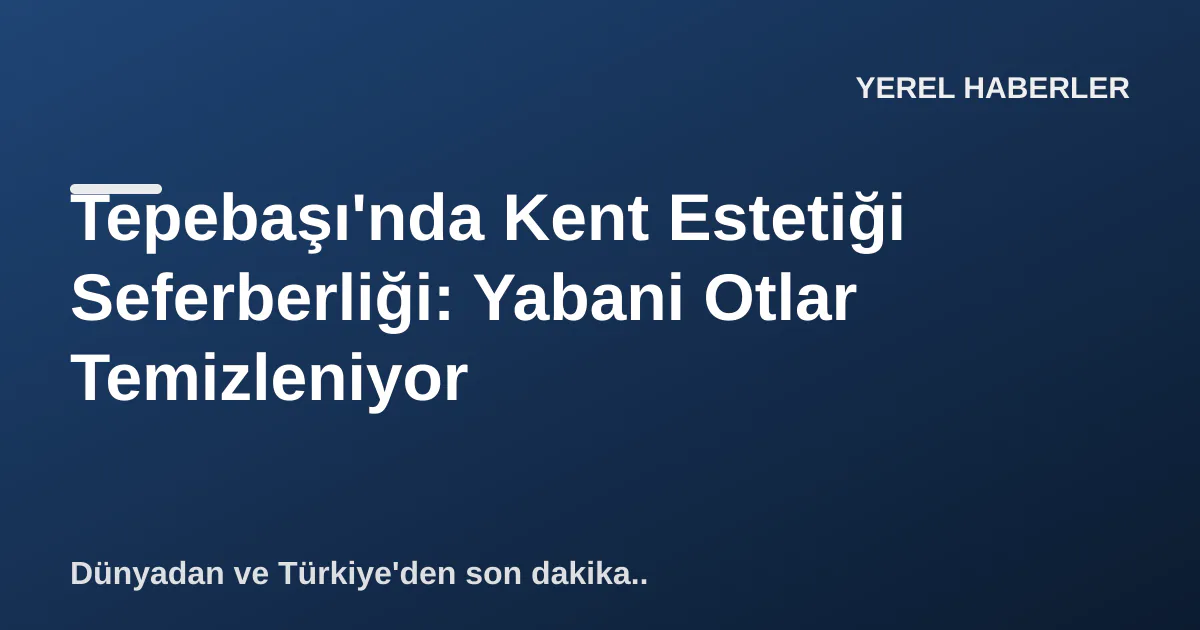 Tepebaşı'nda Kent Estetiği Seferberliği: Yabani Otlar Temizleniyor Tepebaşı'nda Kent Estetiği Seferberliği: Yabani Otlar Temizleniyor