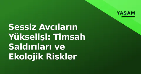 Sessiz Avcıların Yükselişi: Timsah Saldırıları ve Ekolojik Riskler