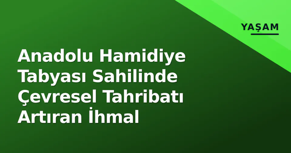 Anadolu Hamidiye Tabyası Sahilinde Çevresel Tahribatı Artıran İhmal görseli