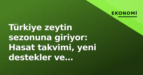 Türkiye zeytin sezonuna giriyor: Hasat takvimi, yeni destekler ve makineleşme yarışı