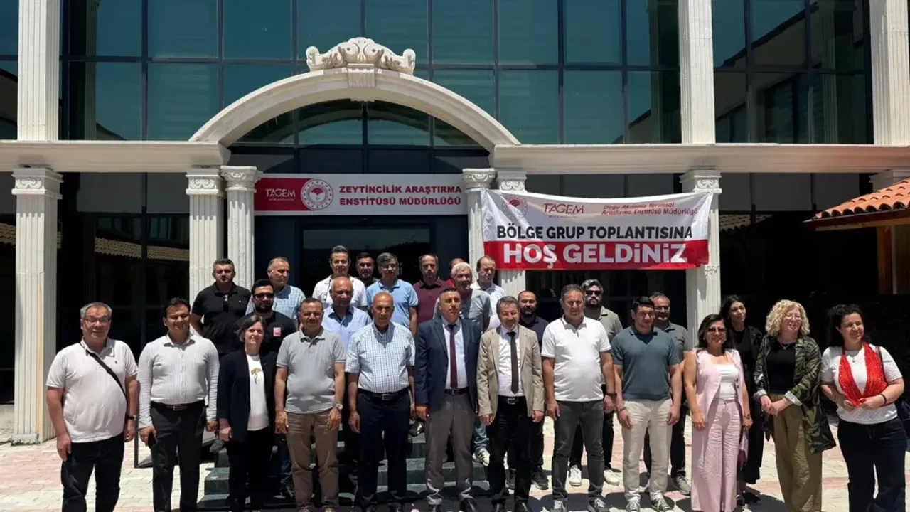 Doğu Akdeniz'de Zeytin Üretimine Yeni Soluk: Verim ve Kalite İçin Kritik Adımlar Doğu Akdeniz'de Zeytin Üretimine Yeni Soluk: Verim ve Kalite İçin Kritik Adımlar