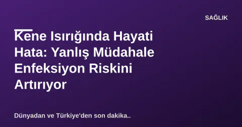 Kene Isırığında Hayati Hata: Yanlış Müdahale Enfeksiyon Riskini Artırıyor