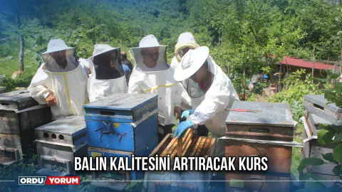 Arıcılıkta Verimi Artıracak Hamle: Ana Arı Üretimi Eğitimi Başladı