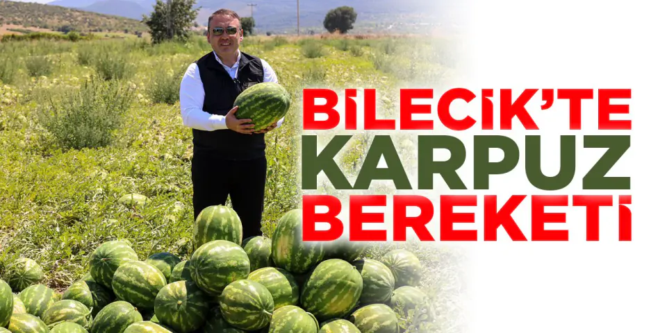 Bilecik Osmaneli'nde Karpuz Hasadı Başladı: Vali Sözer Üreticilerle Buluştu görseli