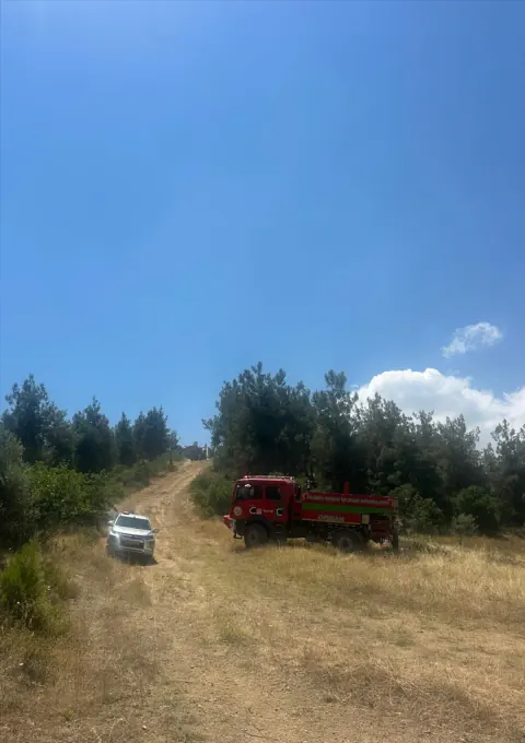Bilecik Osmaneli'nde Orman Yangını Kontrol Altına Alındı