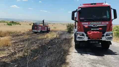 Süloğlu'nda Korkutan Tarla Yangını: 6 Dönüm Buğday Alanı Yandı Süloğlu'nda Korkutan Tarla Yangını: 6 Dönüm Buğday Alanı Yandı