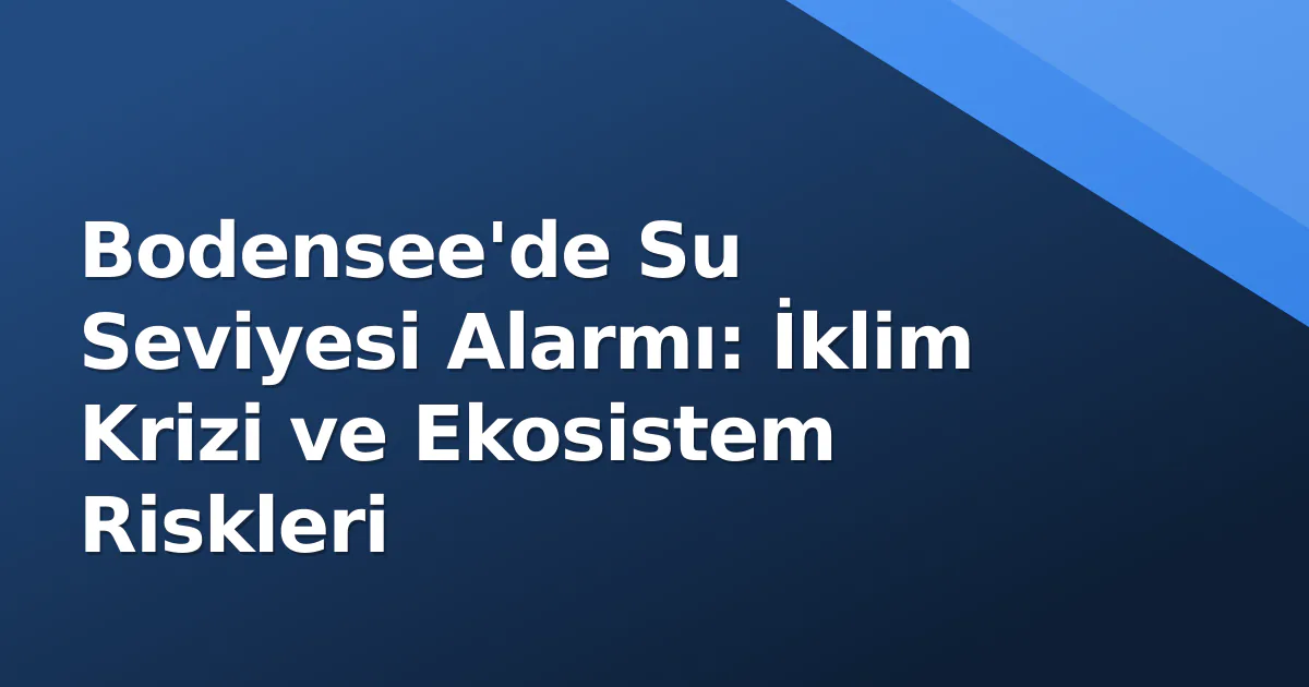 Bodensee'de Su Seviyesi Alarmı: İklim Krizi ve Ekosistem Riskleri Bodensee'de Su Seviyesi Alarmı: İklim Krizi ve Ekosistem Riskleri
