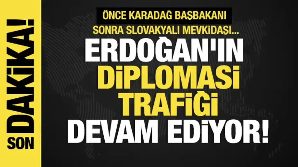 Cumhurbaşkanı Erdoğan, Karadağ Başbakanı Milojko Spajic'i Kabul Etti görseli