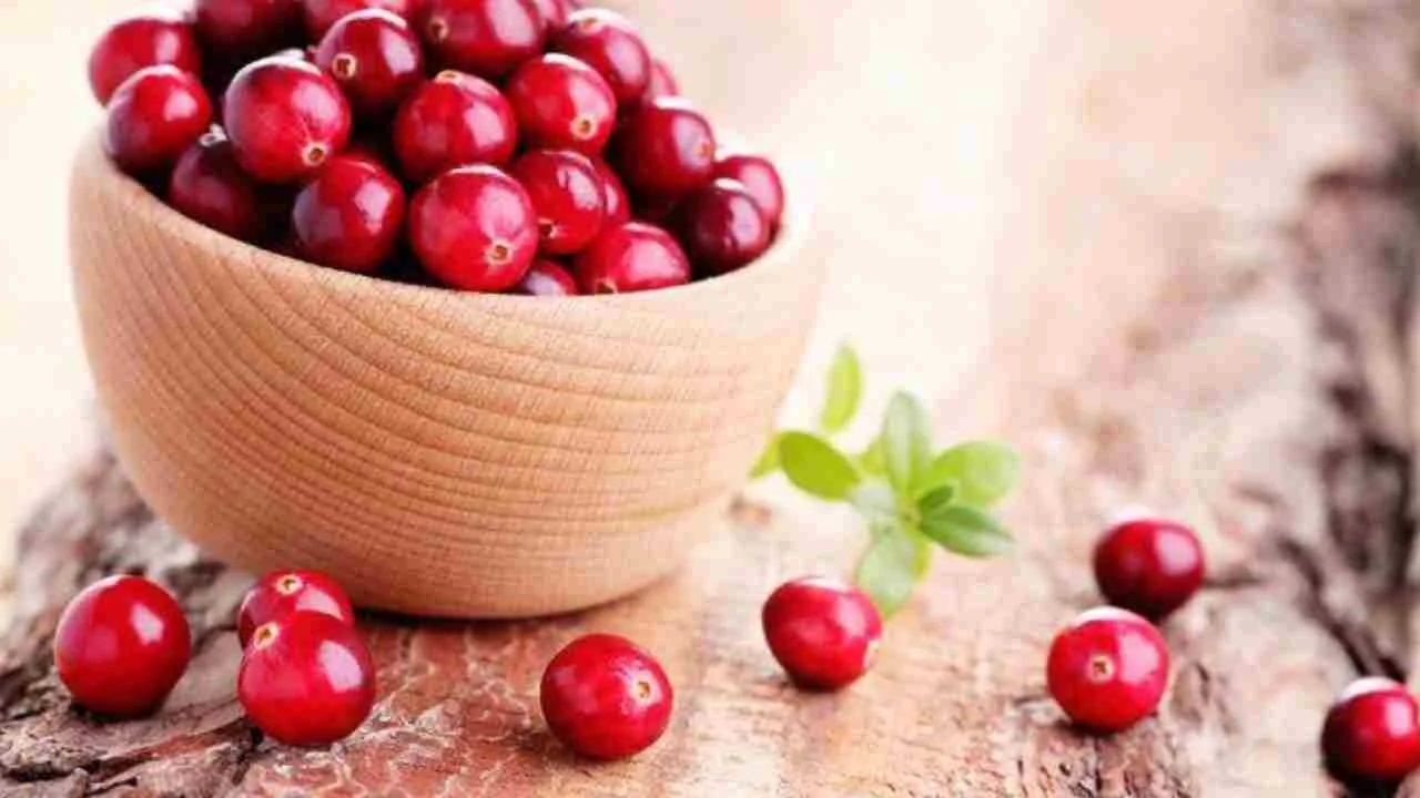 Kızılcık Meyvesinin Yağ Yakıcı Etkisi: Günde Bir Avuç Tüketmek Yeterli mi? Kızılcık Meyvesinin Yağ Yakıcı Etkisi: Günde Bir Avuç Tüketmek Yeterli mi?