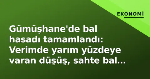 Gümüşhane'de bal hasadı tamamlandı: Verimde yarım yüzdeye varan düşüş, sahte bal uyarısı