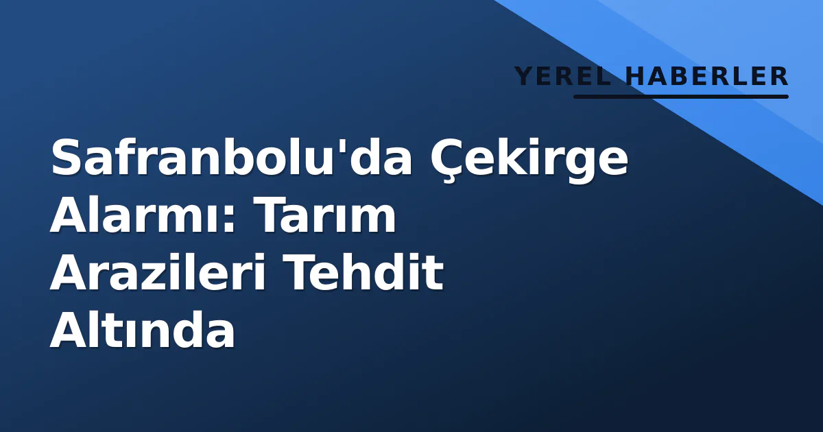 Safranbolu'da Çekirge Alarmı: Tarım Arazileri Tehdit Altında Safranbolu'da Çekirge Alarmı: Tarım Arazileri Tehdit Altında
