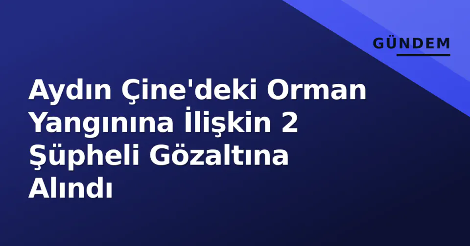 Aydın Çine'deki Orman Yangınına İlişkin 2 Şüpheli Gözaltına Alındı görseli