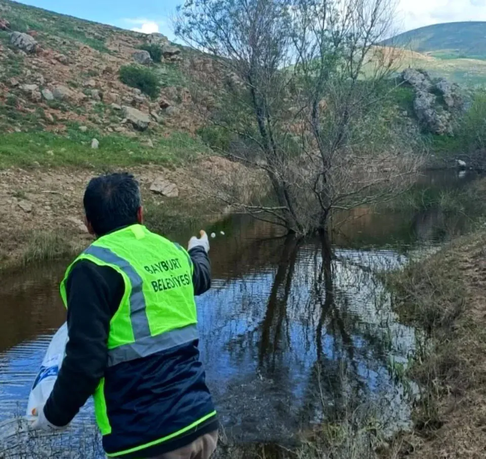Bayburt Belediyesi'nden Şehir Genelinde Altyapı ve Temizlik Seferberliği görseli