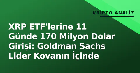 XRP ETF'lerine 11 Günde 170 Milyon Dolar Girişi: Goldman Sachs Lider Kovanın İçinde