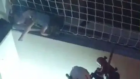 Denizli'de Korku Dolu Dakikalar: Balkon Filesinde Asılı Kalan Çocuk Böyle Kurtarıldı