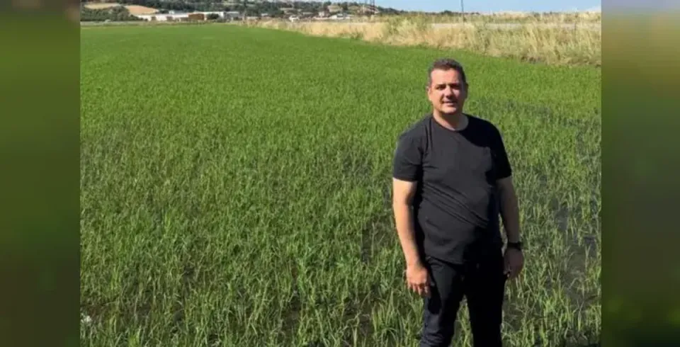 İpsala çeltikçiler TMO fiyatına itiraz etti: 'Maliyet karşılanmıyor' görseli