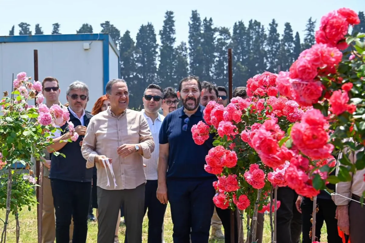 Türkiye'nin Milli Gülleri Tanıtıldı: Yalova'da Yerli Genotipler Dönemi Türkiye'nin Milli Gülleri Tanıtıldı: Yalova'da Yerli Genotipler Dönemi
