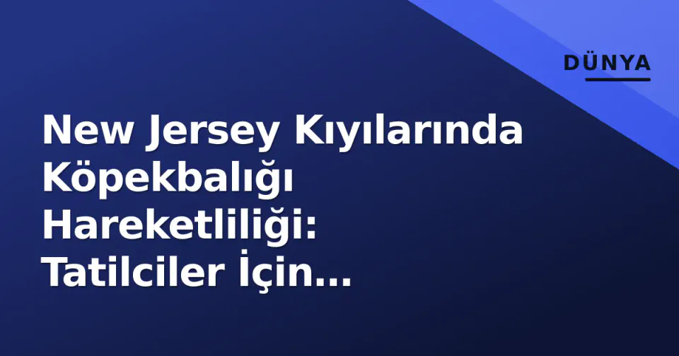 New Jersey Kıyılarında Köpekbalığı Hareketliliği: Tatilciler İçin Uyarılar görseli
