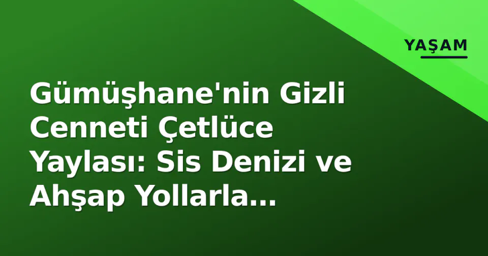 Gümüşhane'nin Gizli Cenneti Çetlüce Yaylası: Sis Denizi ve Ahşap Yollarla Ziyaretçi Rekoru Kırdı görseli