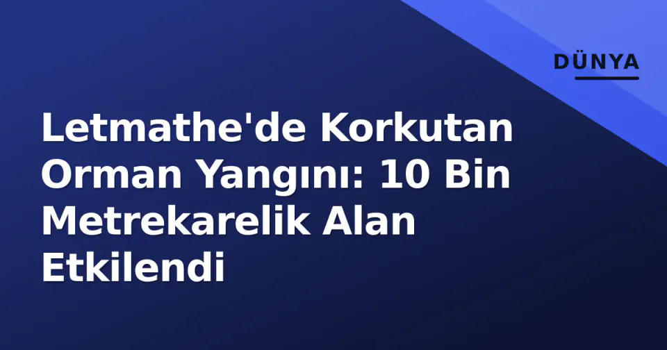 Letmathe'de Korkutan Orman Yangını: 10 Bin Metrekarelik Alan Etkilendi görseli