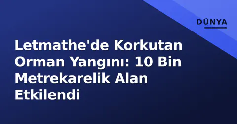 Letmathe'de Korkutan Orman Yangını: 10 Bin Metrekarelik Alan Etkilendi