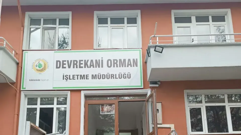 Kastamonu Devrekani'nde Orman Emvali Üretimi İhalesi Açılıyor görseli