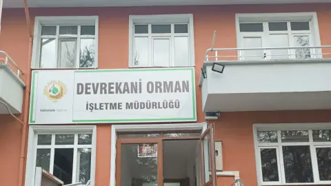 Kastamonu Devrekani'nde Orman Emvali Üretimi İhalesi Açılıyor