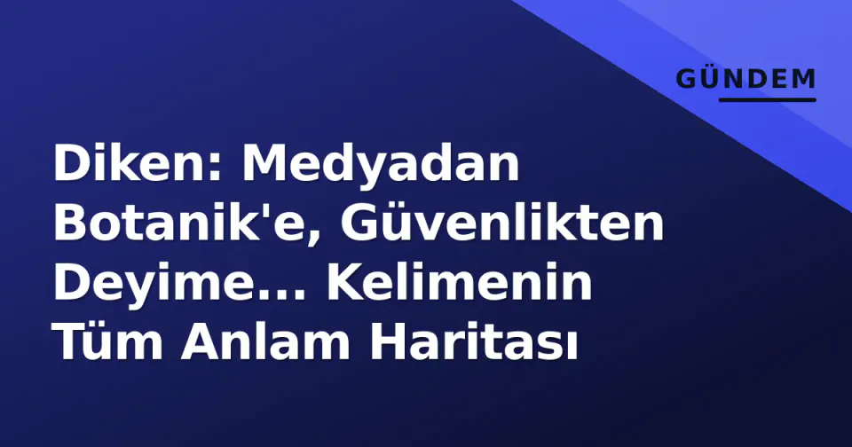 Diken: Medyadan Botanik'e, Güvenlikten Deyime... Kelimenin Tüm Anlam Haritası görseli
