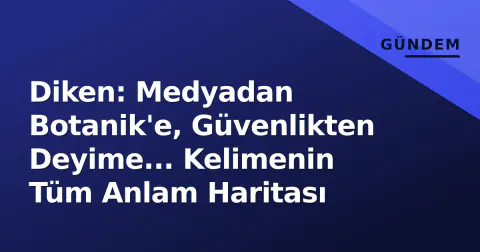Diken: Medyadan Botanik'e, Güvenlikten Deyime... Kelimenin Tüm Anlam Haritası