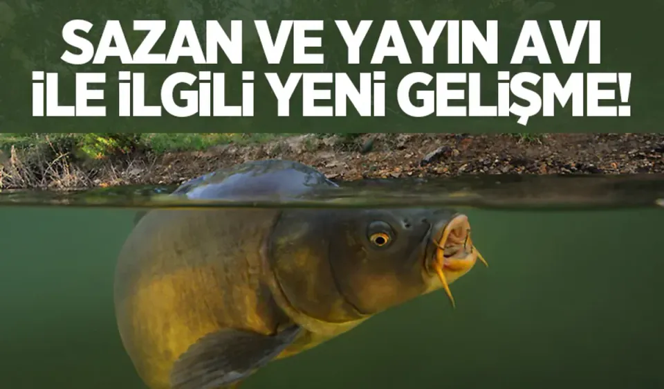İç sularda av yasağı sona erdi: Sazan ve yayın balığı sezonu açıldı görseli