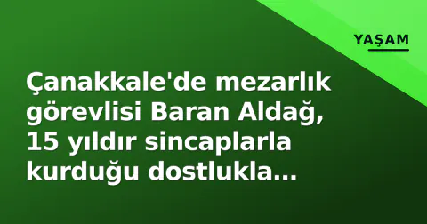 Çanakkale'de mezarlık görevlisi Baran Aldağ, 15 yıldır sincaplarla kurduğu dostlukla sosyal medyayı salladı