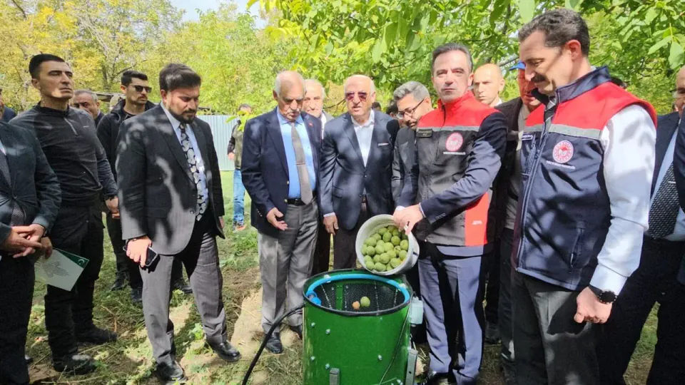 Adilcevaz Cevizi'nde hasat başladı: 18 bin tonluk rekor üretim hedefleniyor görseli