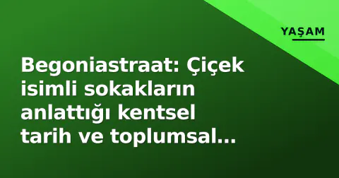 Begoniastraat: Çiçek isimli sokakların anlattığı kentsel tarih ve toplumsal hafıza