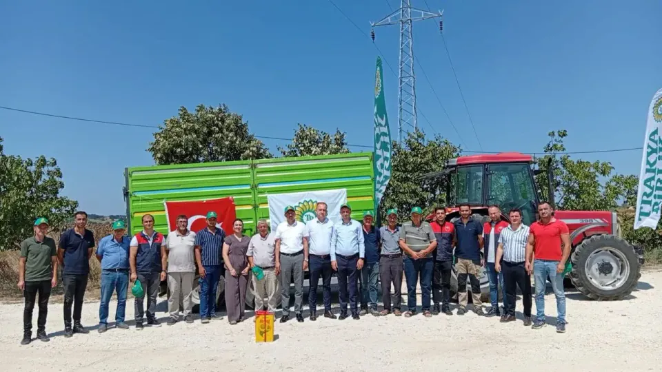 Pınarhisar'da Sezonun İlk Ayçiçeği Hasadı Başladı görseli