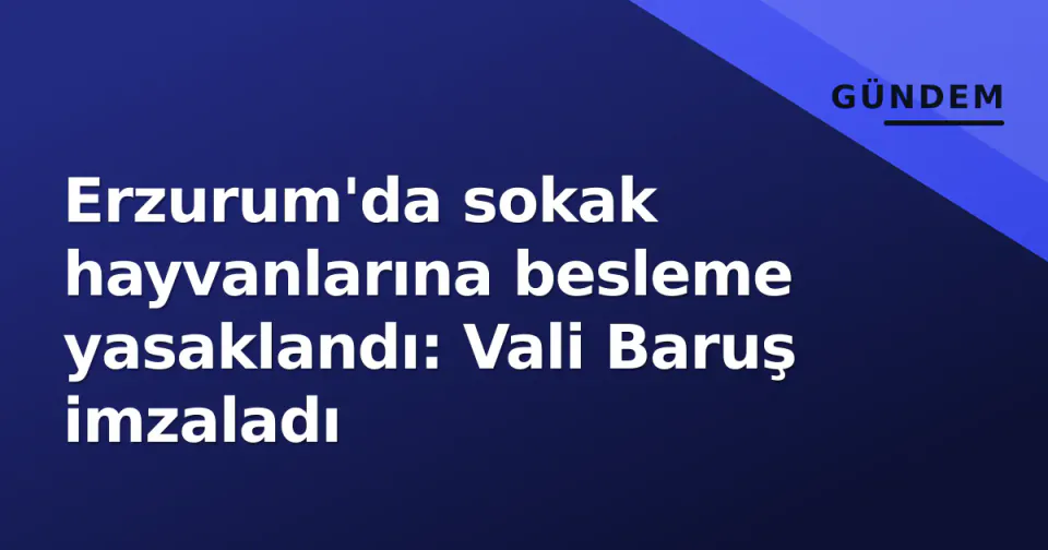 Erzurum'da sokak hayvanlarına besleme yasaklandı: Vali Baruş imzaladı görseli