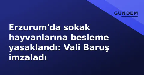 Erzurum'da sokak hayvanlarına besleme yasaklandı: Vali Baruş imzaladı