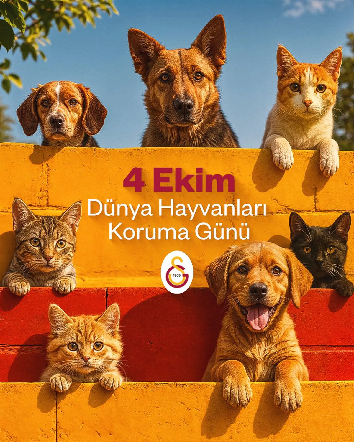 Galatasaray'dan 4 Ekim Dünya Hayvanları Koruma Günü Mesajı Galatasaray'dan 4 Ekim Dünya Hayvanları Koruma Günü Mesajı