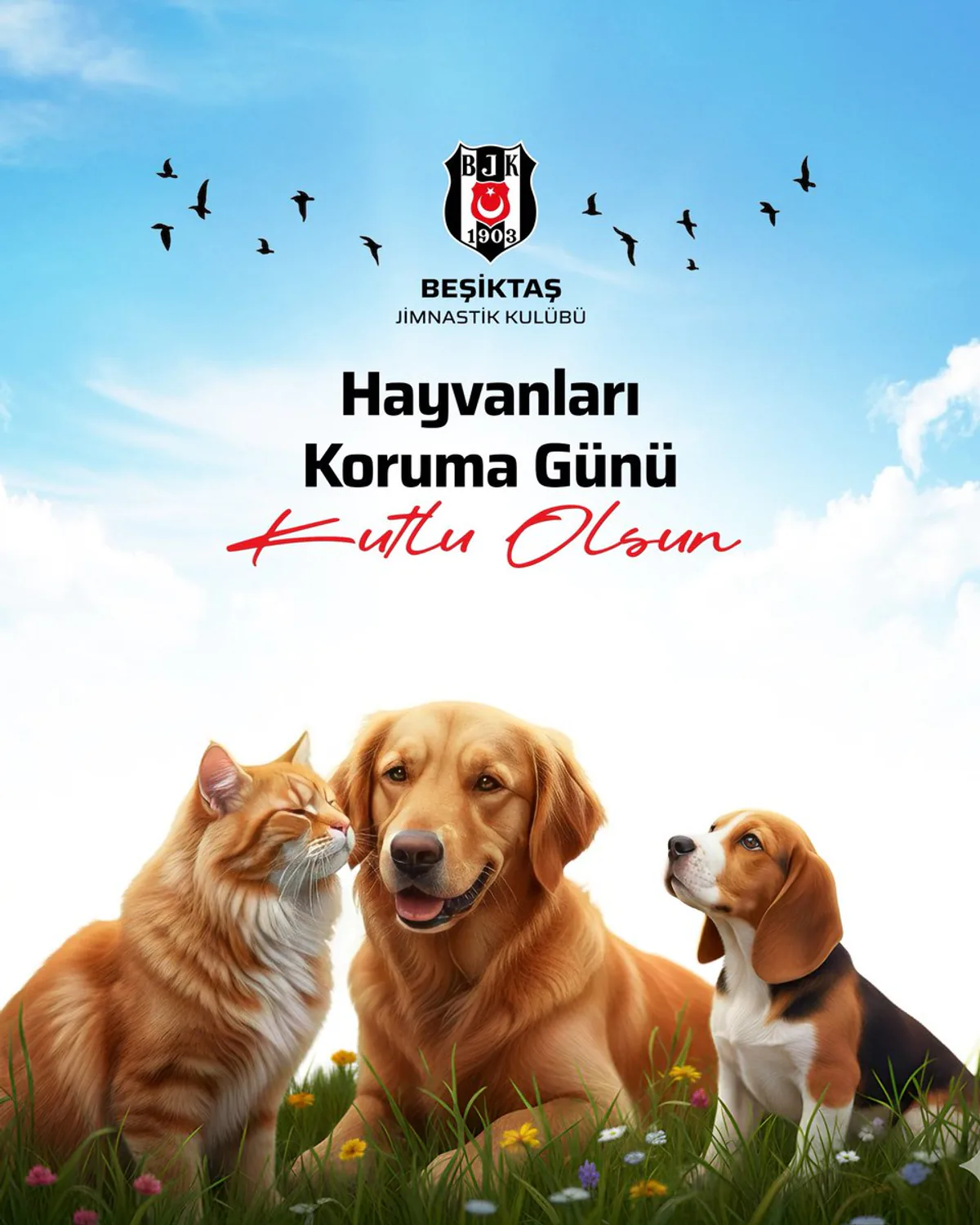 Beşiktaş'tan Hayvanları Koruma Günü'nde Anlamlı Mesaj Beşiktaş'tan Hayvanları Koruma Günü'nde Anlamlı Mesaj