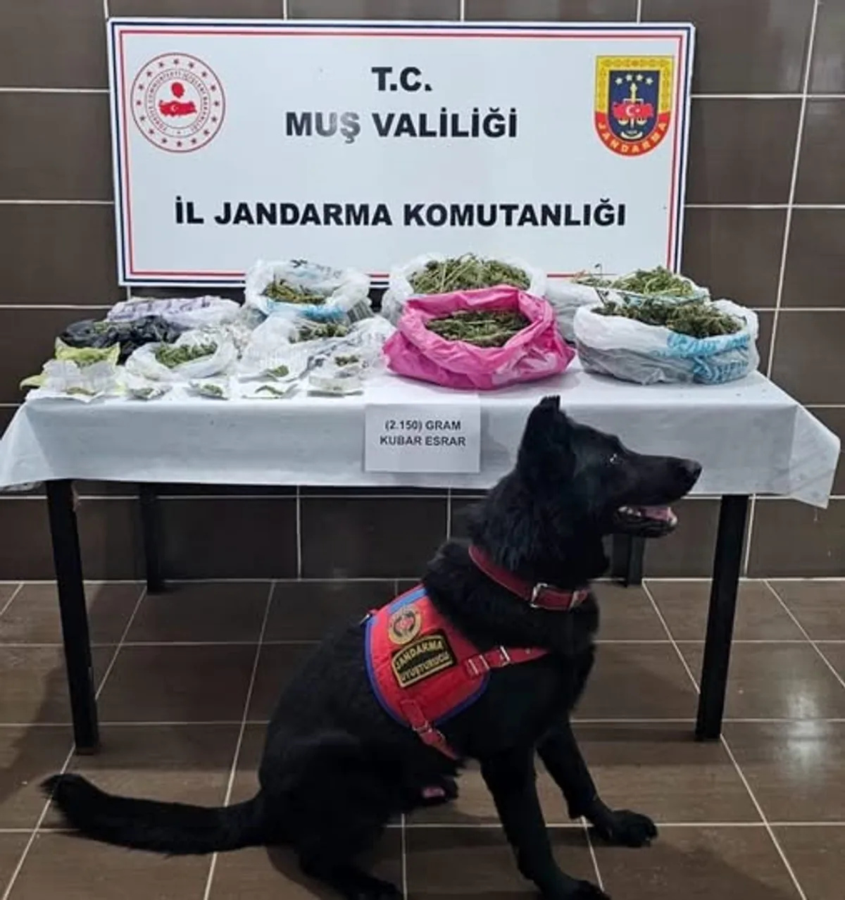 Muş'ta Jandarma Operasyonu: 2 Kilogram 150 Gram Esrar Ele Geçirildi Muş'ta Jandarma Operasyonu: 2 Kilogram 150 Gram Esrar Ele Geçirildi