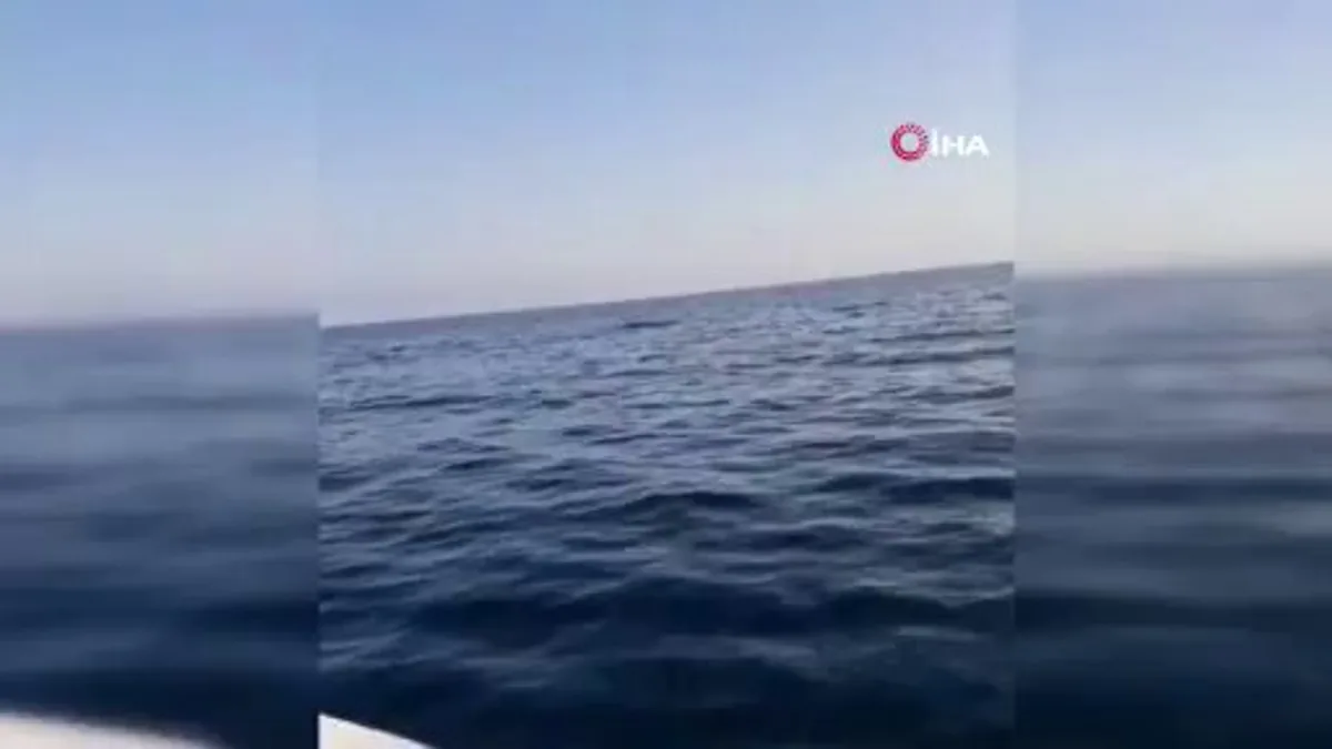 Artvin Açıklarında Denizde Bulunan Cisim İncelemeye Alındı Artvin Açıklarında Denizde Bulunan Cisim İncelemeye Alındı
