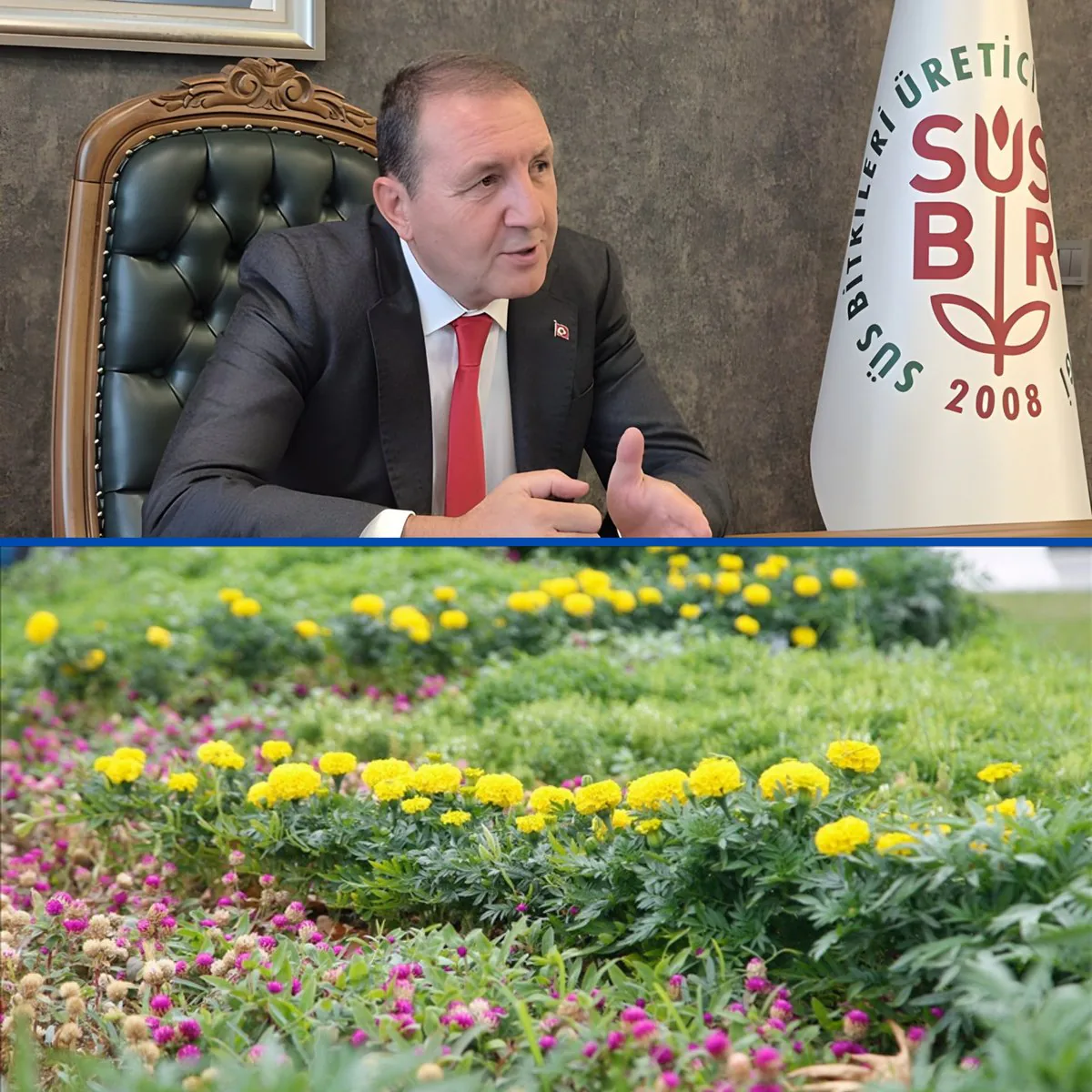 Türkiye'nin Peyzaj Bitkileri 80 Ülkeye İhracatla Büyüyor Türkiye'nin Peyzaj Bitkileri 80 Ülkeye İhracatla Büyüyor