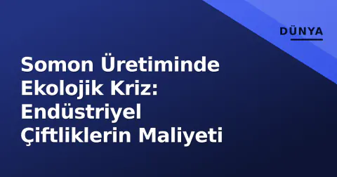 Somon Üretiminde Ekolojik Kriz: Endüstriyel Çiftliklerin Maliyeti
