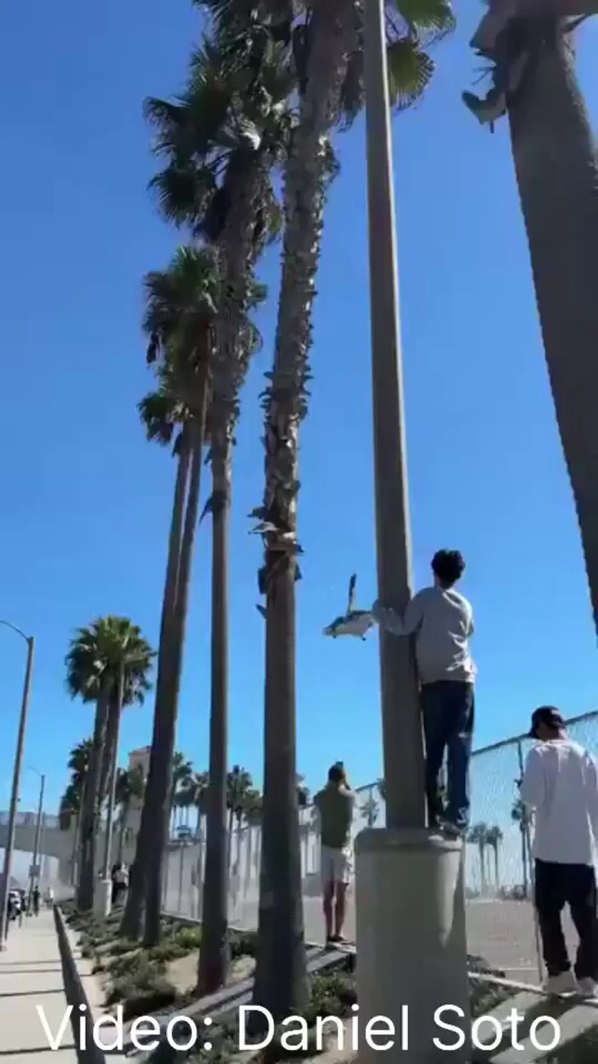 Huntington Beach'te Helikopter Kazası: Çok Sayıda Can Kaybı Huntington Beach'te Helikopter Kazası: Çok Sayıda Can Kaybı