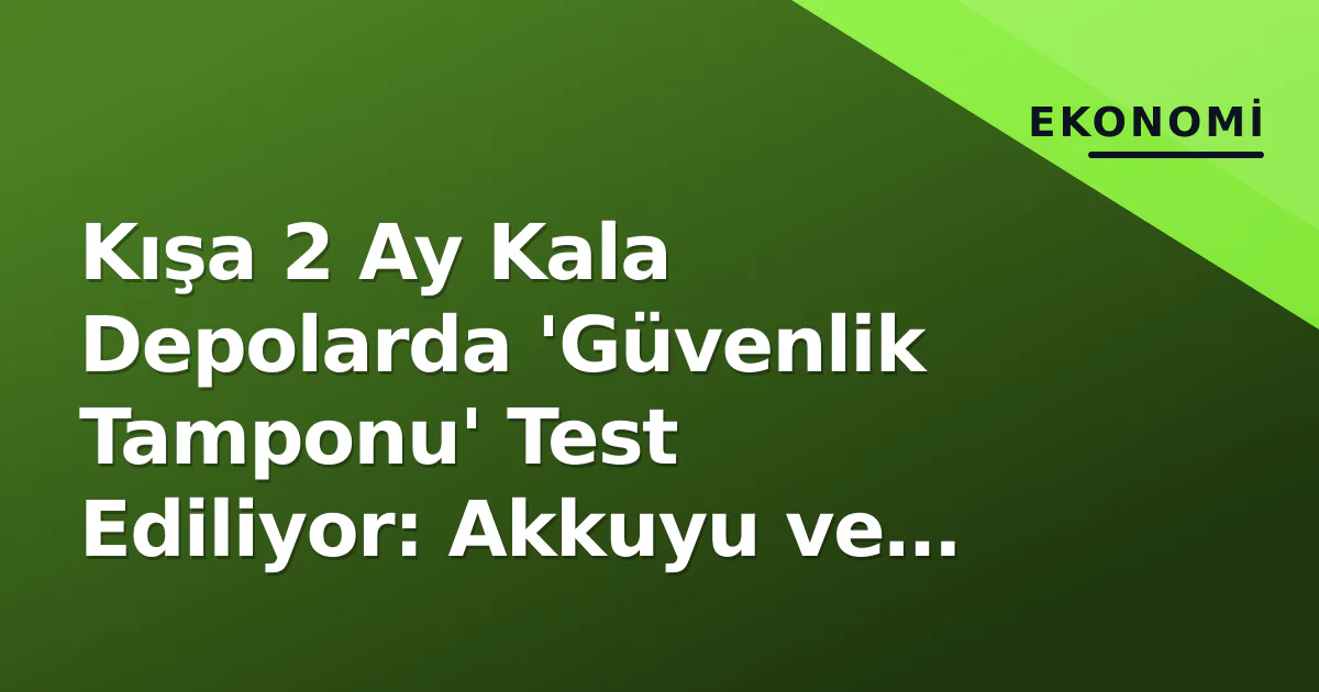 Kışa 2 Ay Kala Depolarda 'Güvenlik Tamponu' Test Ediliyor: Akkuyu ve Yenilenebilirler Denge Değiştirebilir mi?
