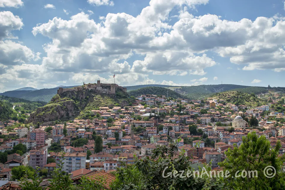Kastamonu Orman Bölge Müdürlüğü'nden Makine ve Ekipman Alımı İhalesi görseli