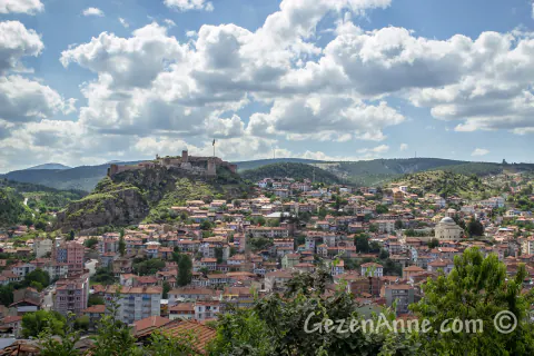 Kastamonu Orman Bölge Müdürlüğü'nden Makine ve Ekipman Alımı İhalesi