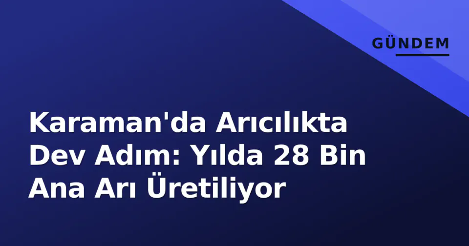 Karaman'da Arıcılıkta Dev Adım: Yılda 28 Bin Ana Arı Üretiliyor görseli