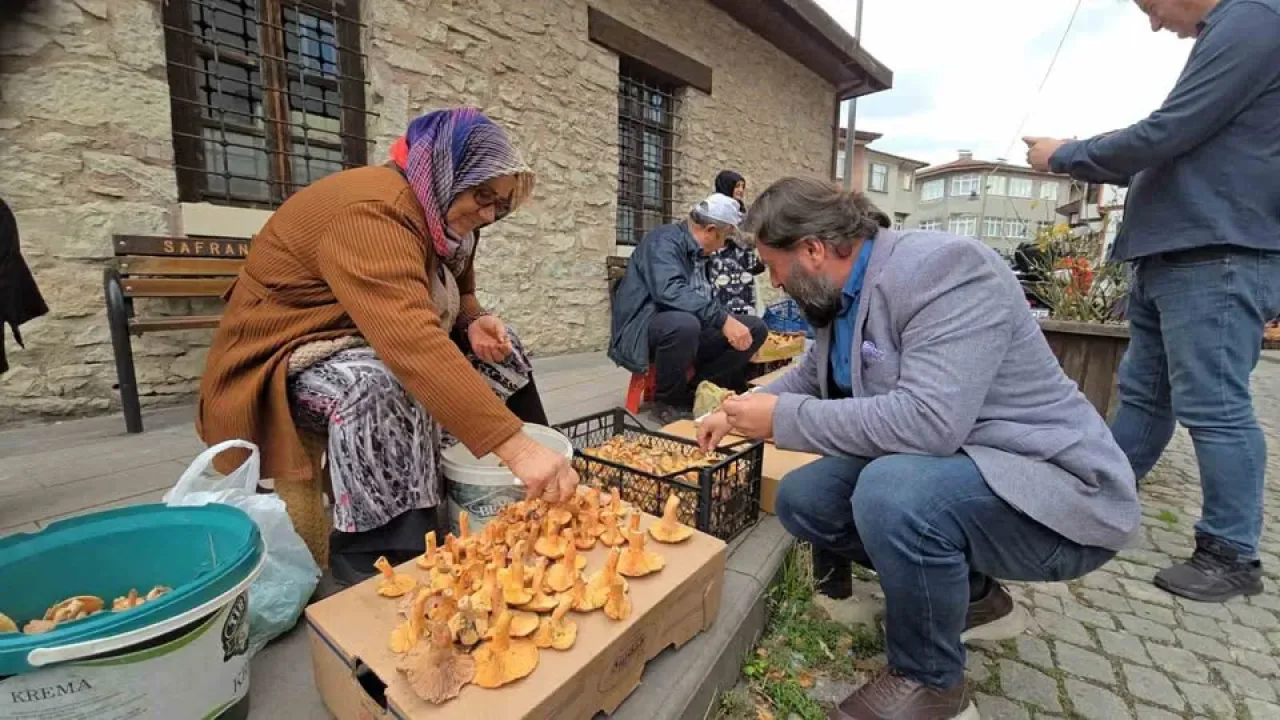 Safranbolu'da Kanlıca ve Ebişke Mantarı Sezonu Başladı: Kilosu 500 TL'ye Alıcı Buluyor Safranbolu'da Kanlıca ve Ebişke Mantarı Sezonu Başladı: Kilosu 500 TL'ye Alıcı Buluyor