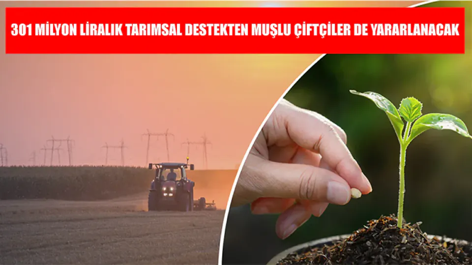 Muşlu Çiftçilere 301 Milyon TL Tarımsal Destek Ödemesi görseli